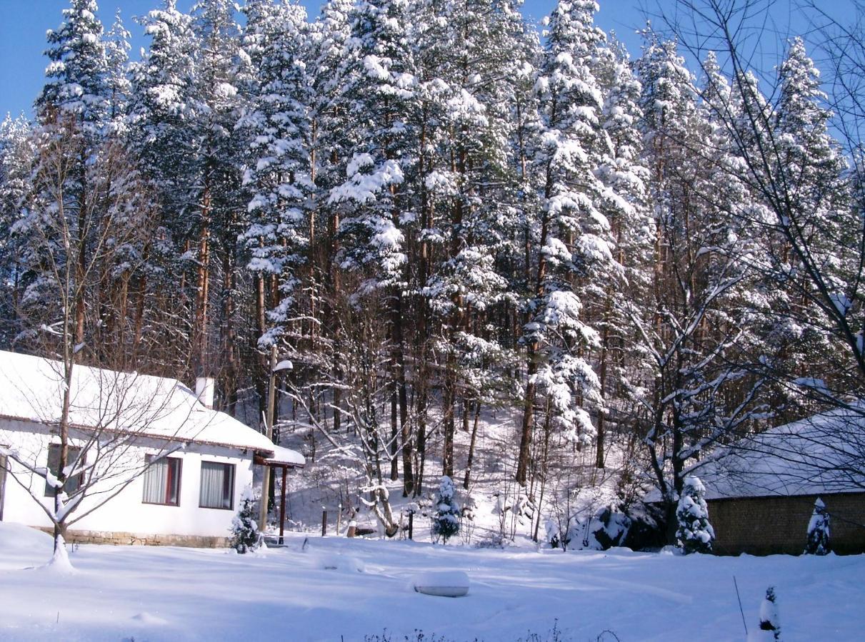Holiday Home Tanevi Tryavna Dış mekan fotoğraf